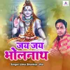 About Jay Jay Bholenath Song